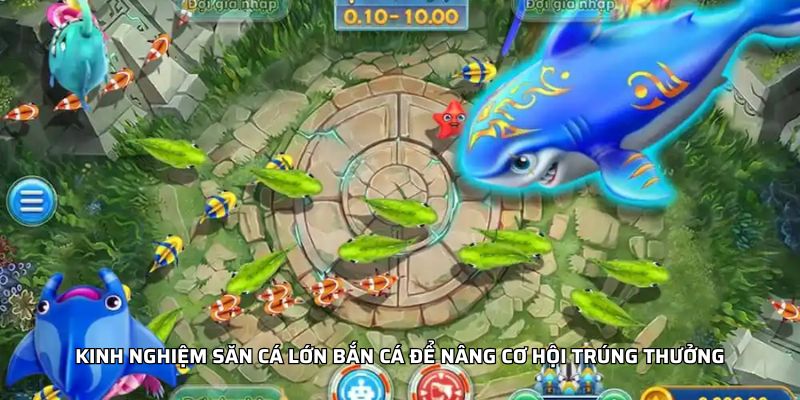 Cách Canh Cá Ra Khi Bắn - Tăng Cơ Hội Trúng Mục Tiêu Nhanh Kinh nghiệm săn cá lớn bắn cá để nâng cơ hội trúng thưởng